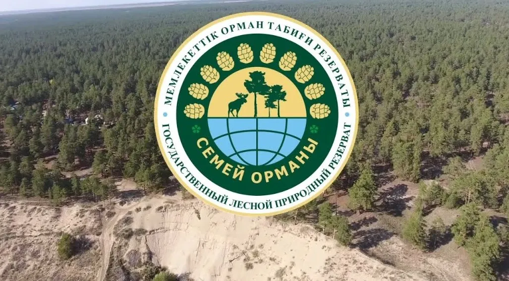 «Семей орманы» мемлекеттік орман табиғи резерваты 2